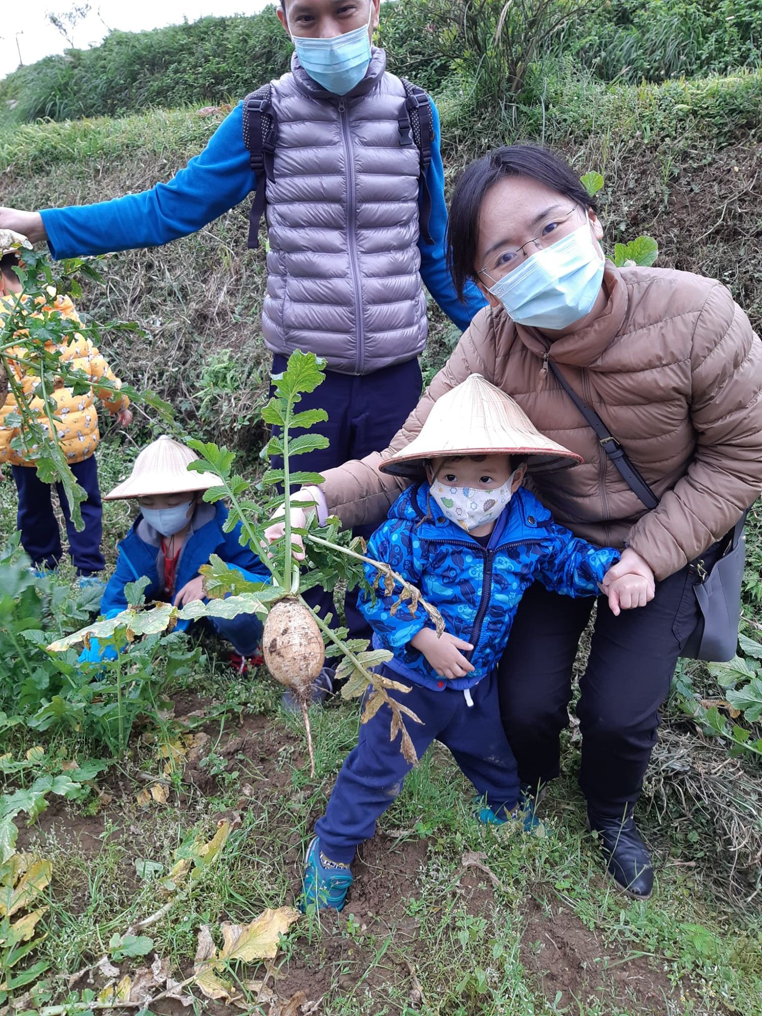 拔蘿蔔