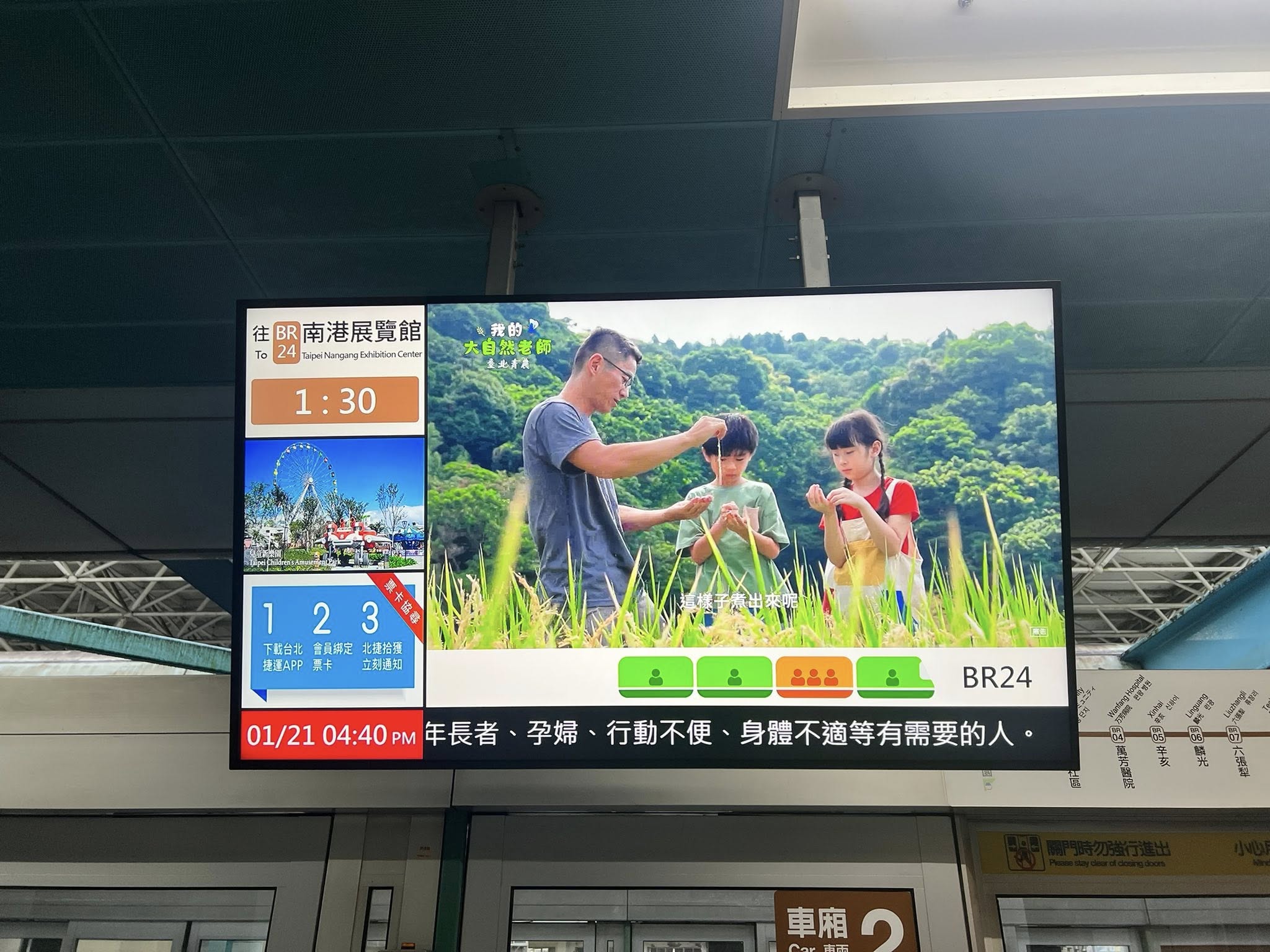 我的大自然老師