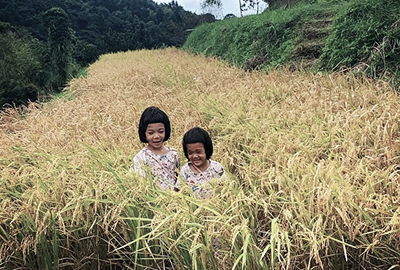 藍鵲農園兒童營隊口碑超優
